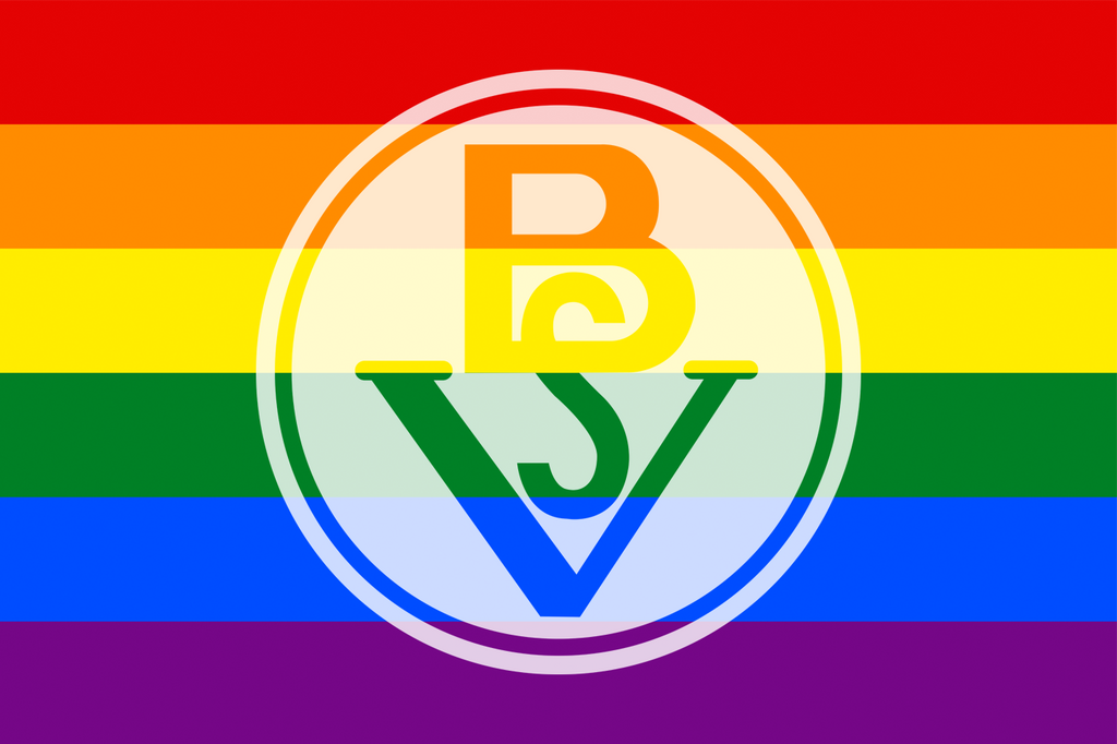 10 Sticker BSV Regenbogen